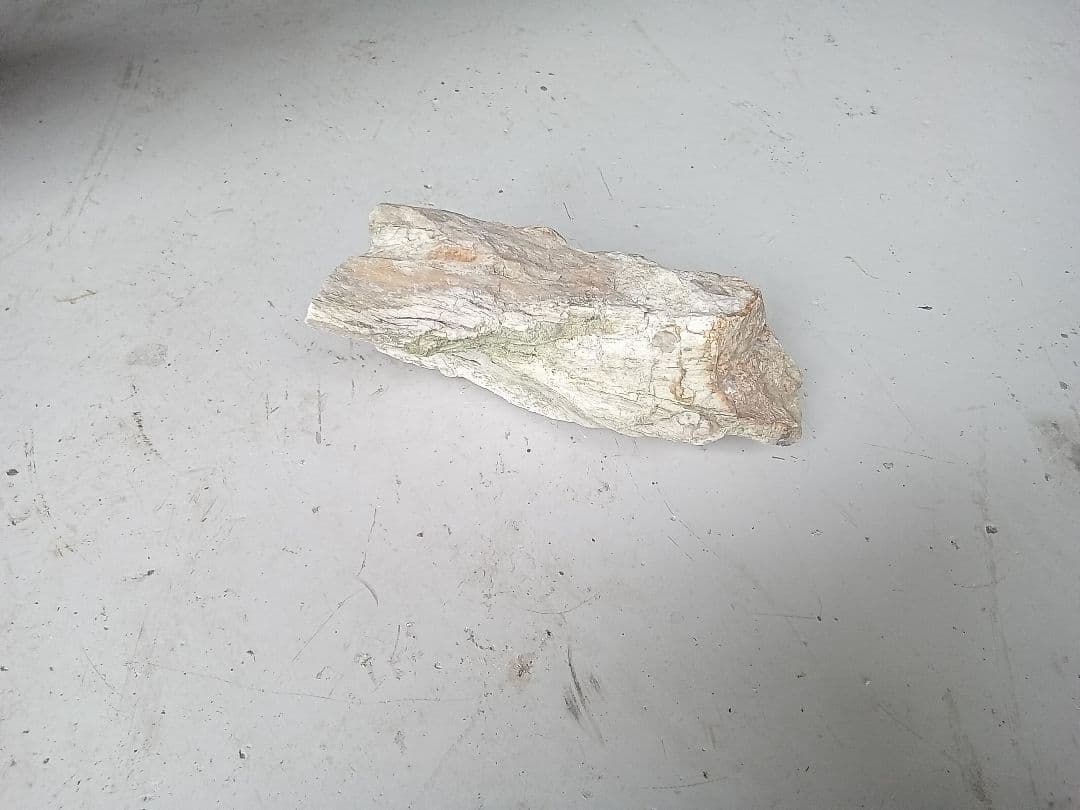 木化石　詰め合わせ