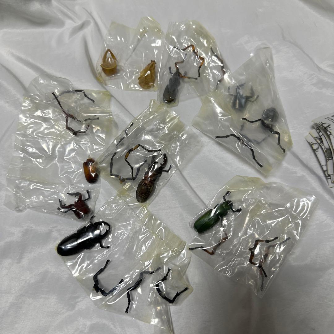 廃盤　希少　全7種コンプ 「カプセルQミュージアム 日本クワガタムシ大全」