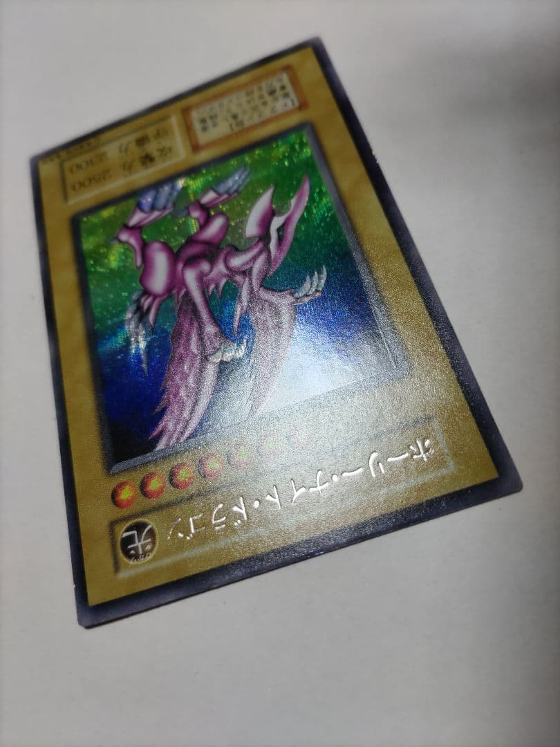 ホーリーナイトドラゴン