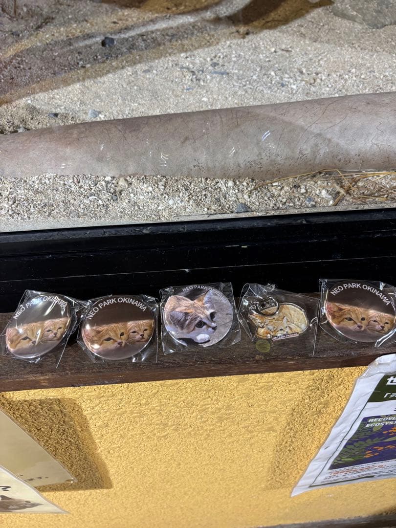 ☆みーさま専用☆スナネコグッズ