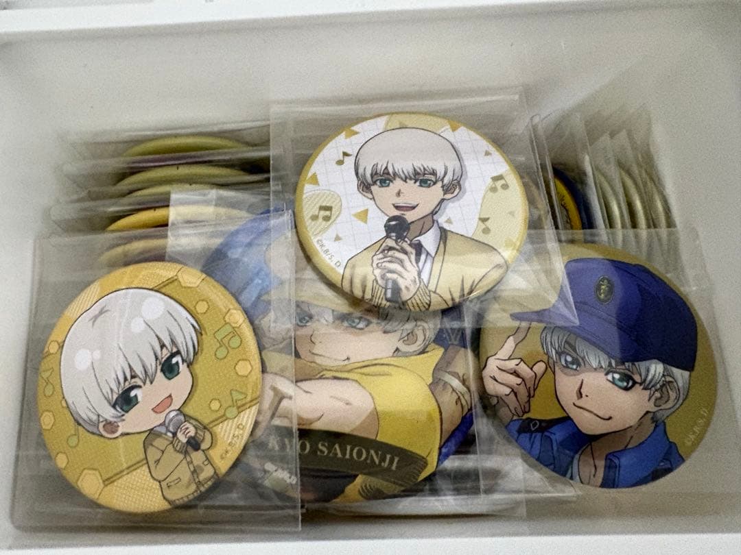 ドクターストーン 西園寺羽京 缶バッジ 33個