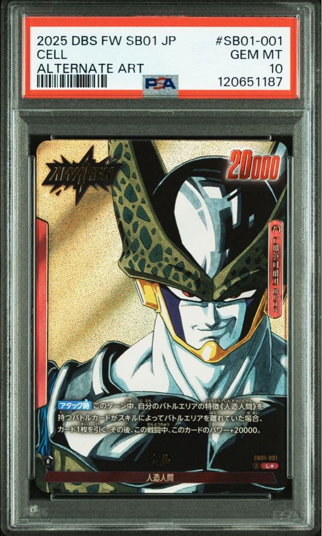 PSA10セル 1187
