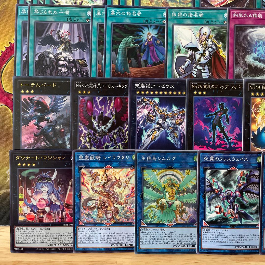 大会構築 絢嵐デッキ トーテムバード ローカストキング フォニクス