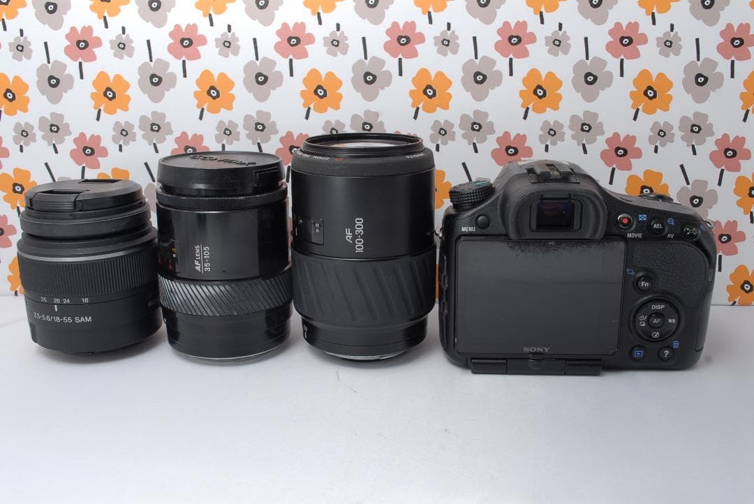 ❤SONY α65❤トリプルレンズ❤超望遠❤超高画質❤1秒10コマの高速連射❤