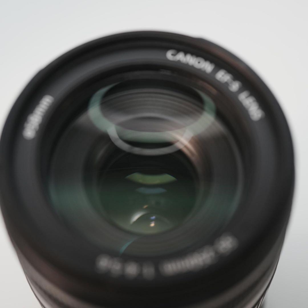 Canon純正 55-250mm 望遠レンズ a4510