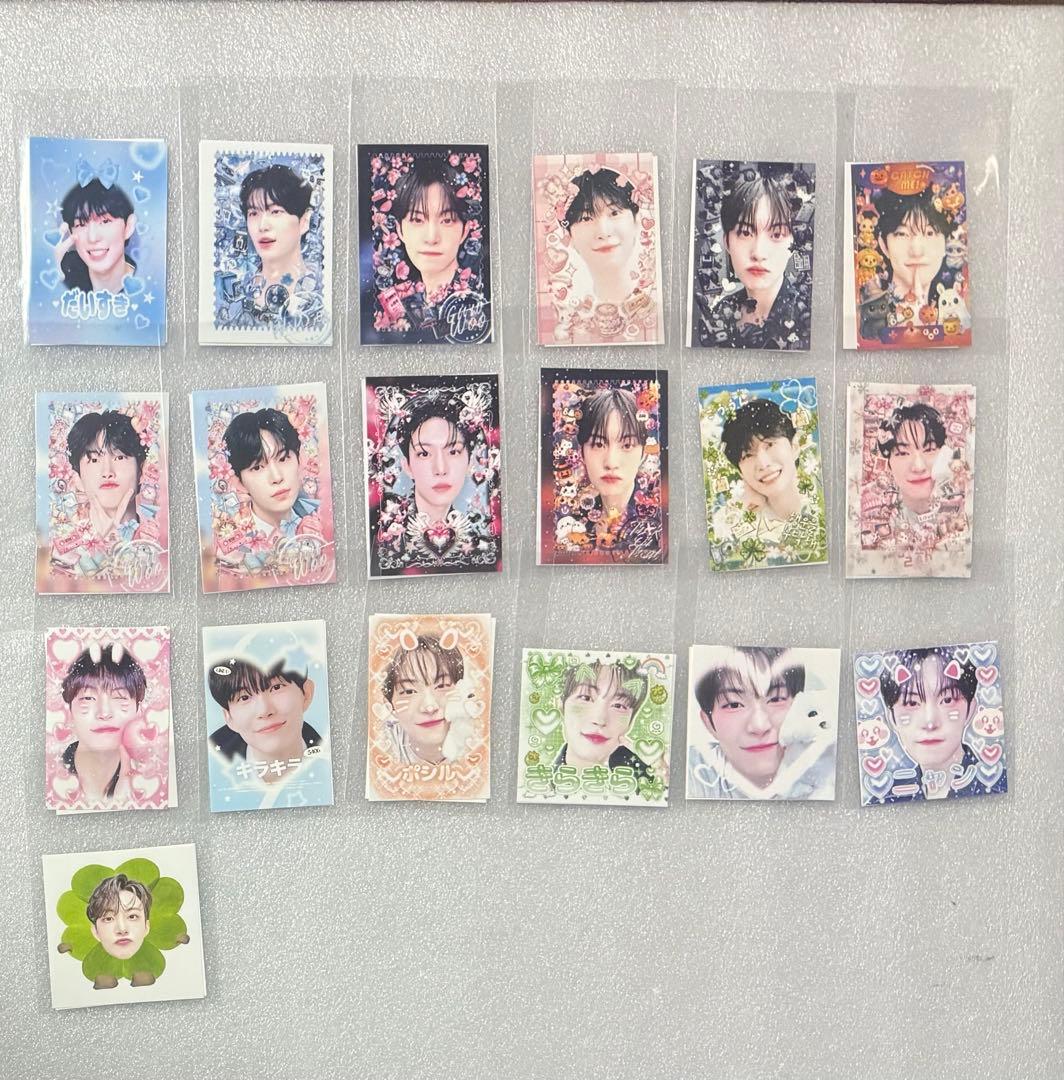 ALD1 ドムソン　サンリオ（特リオ多）500枚