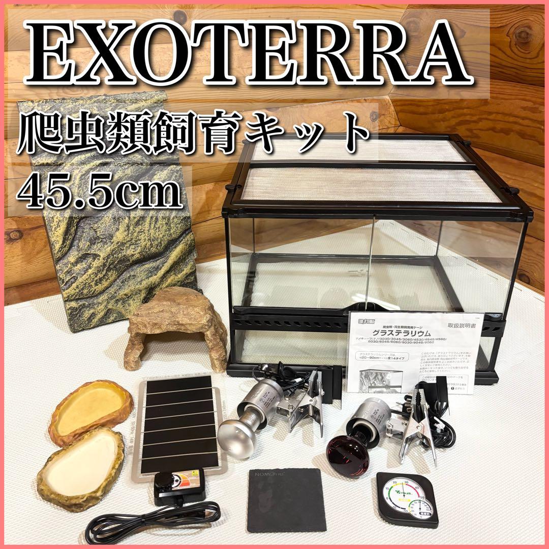 GEX EXOTERRA エキゾテラ 飼育キット 爬虫類用ガラスケージセット
