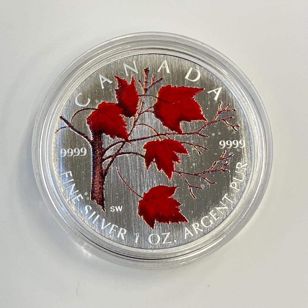 カナダ王立造幣局発行 メイプルリーフ硬貨 カラー 2004年