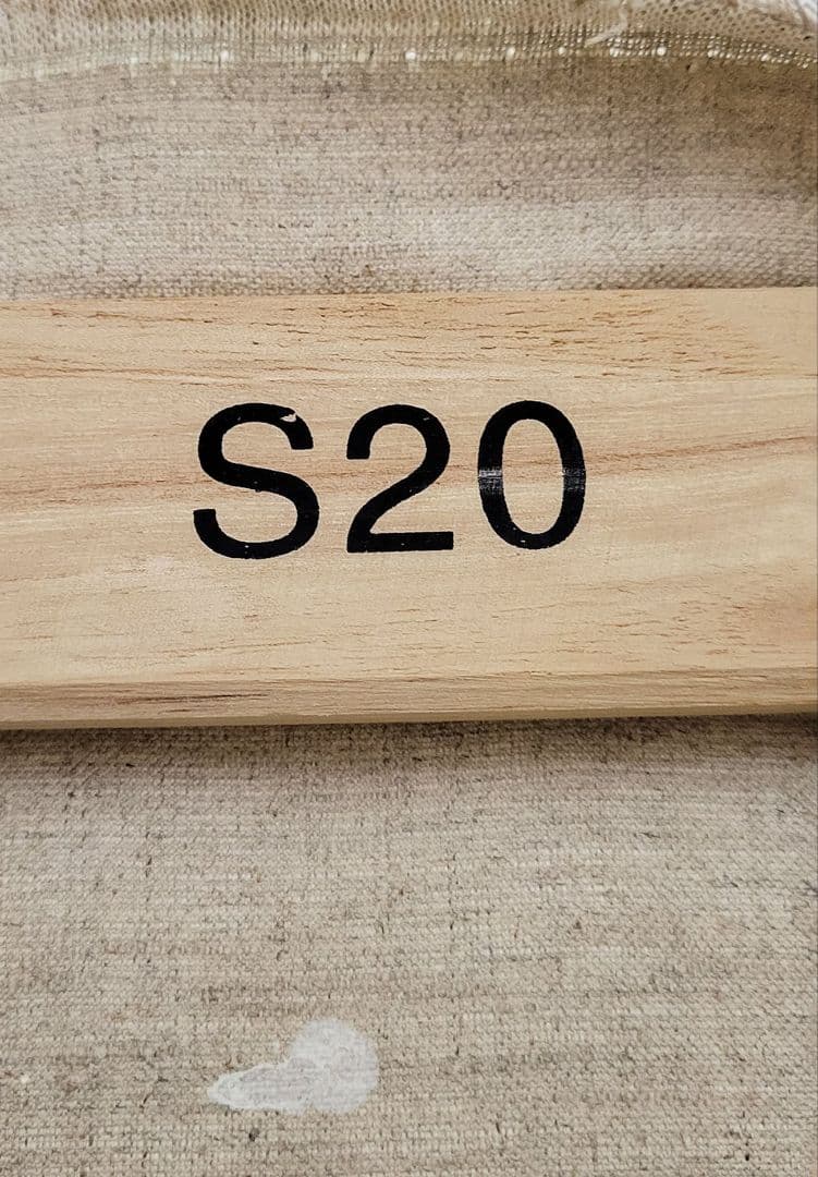 ★鈴木哲也★S20 現代アート 原画 絵画 ポップアート ★送料無料#145