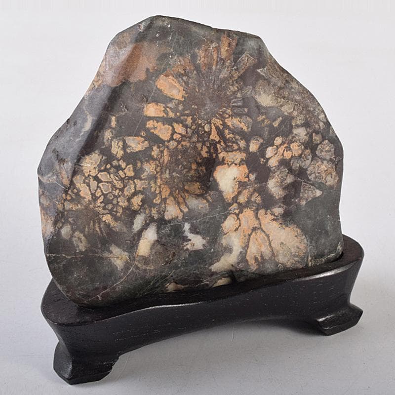 天然石　鑑賞石　菊花石　置物　重さ約547g　唐木台付　C　R8838