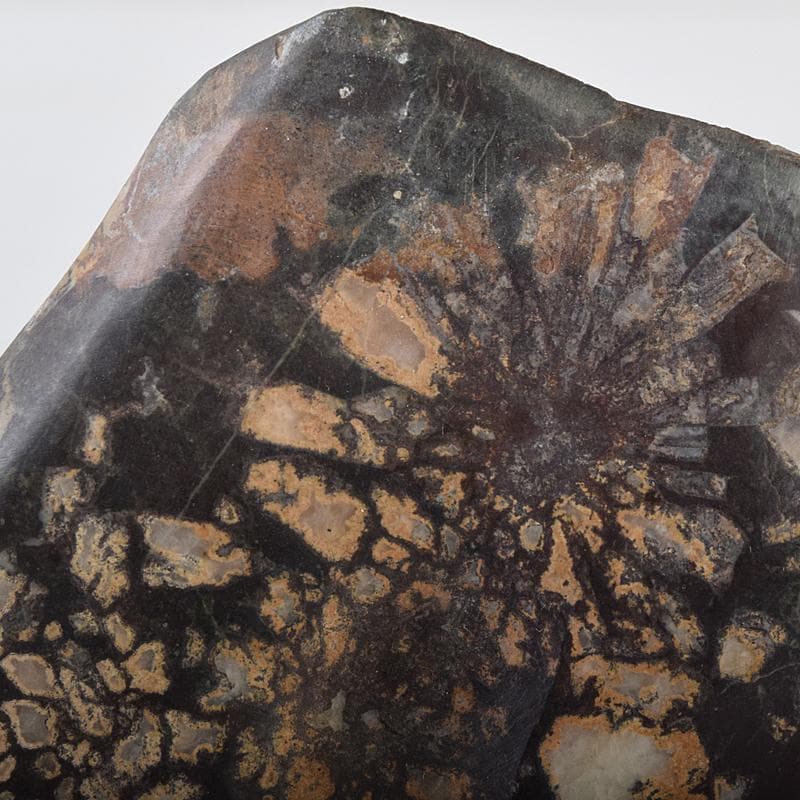 天然石　鑑賞石　菊花石　置物　重さ約547g　唐木台付　C　R8838