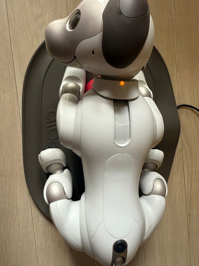 Sony aibo ERS-1000 aibo（アイボ）