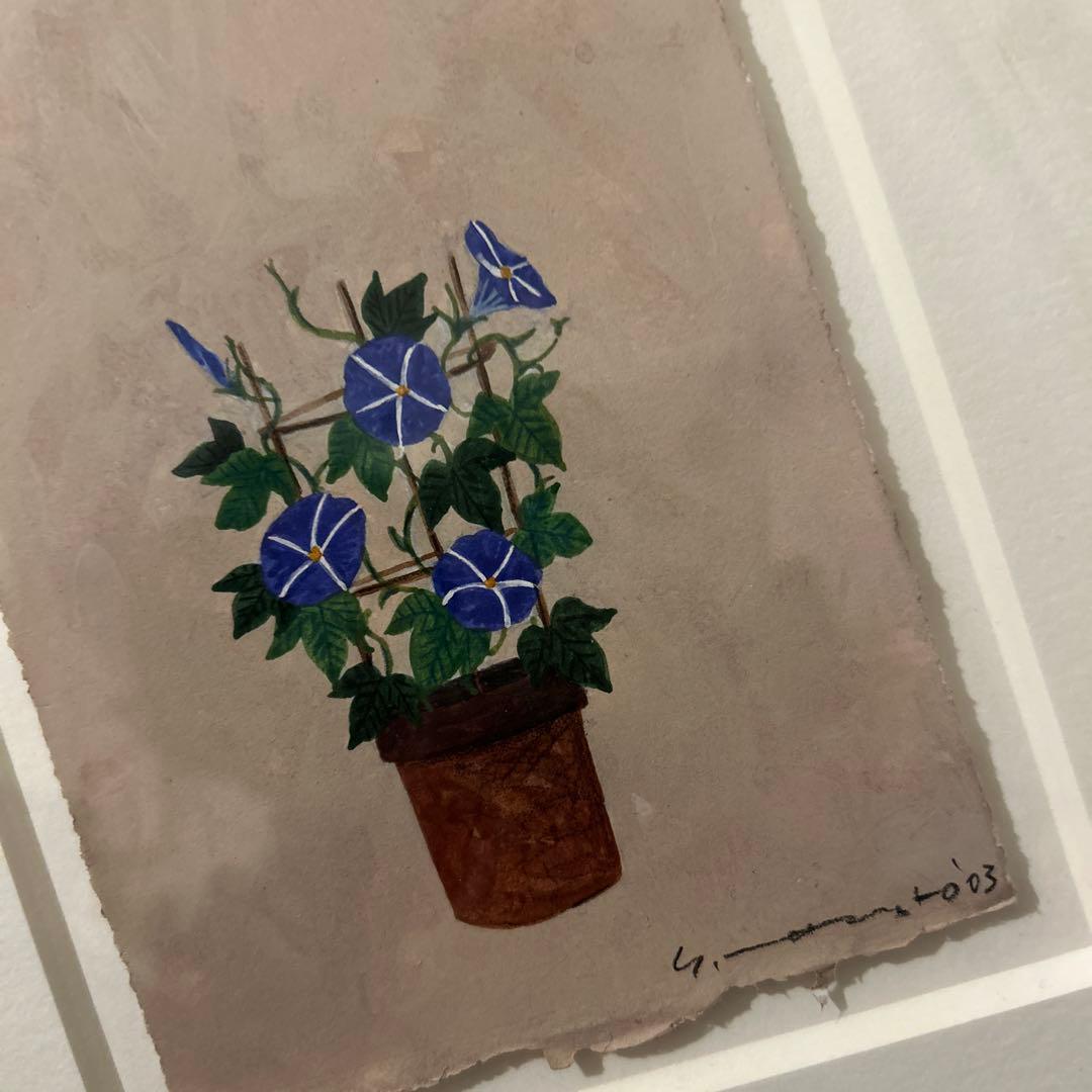 マツモトヨーコ　ドローイング　絵画　朝顔　ハガキサイズ