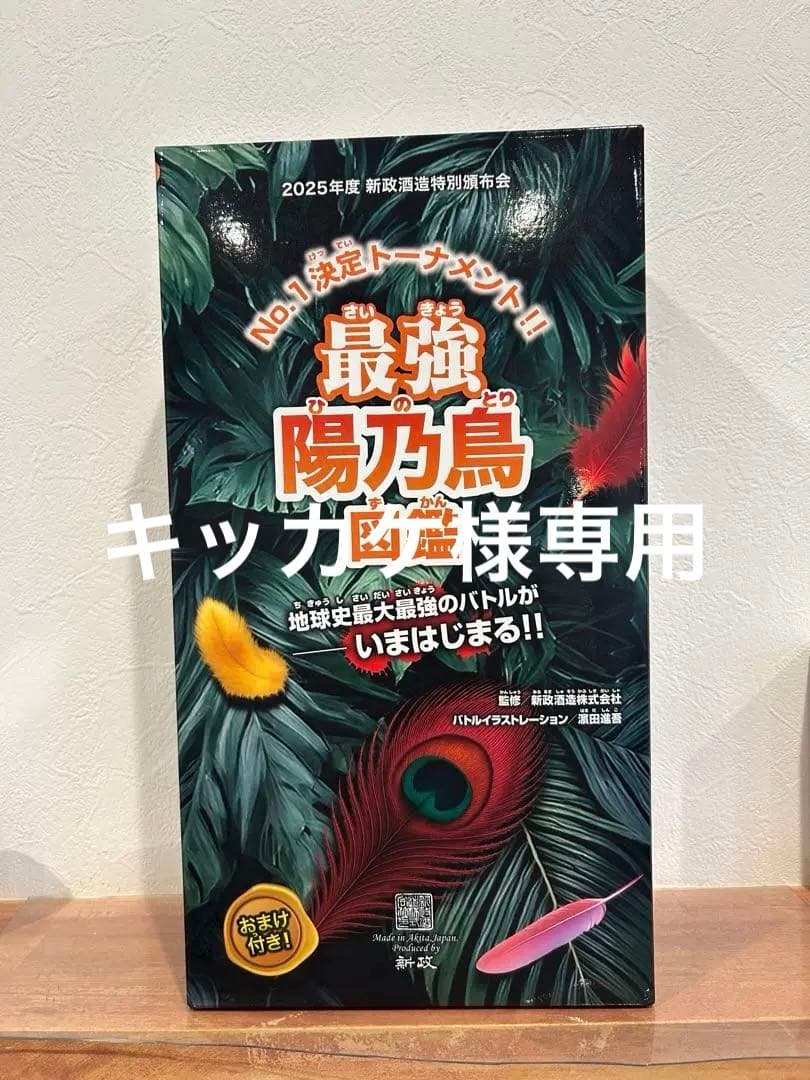 新政頒布会　2025 陽乃鳥　2回戦