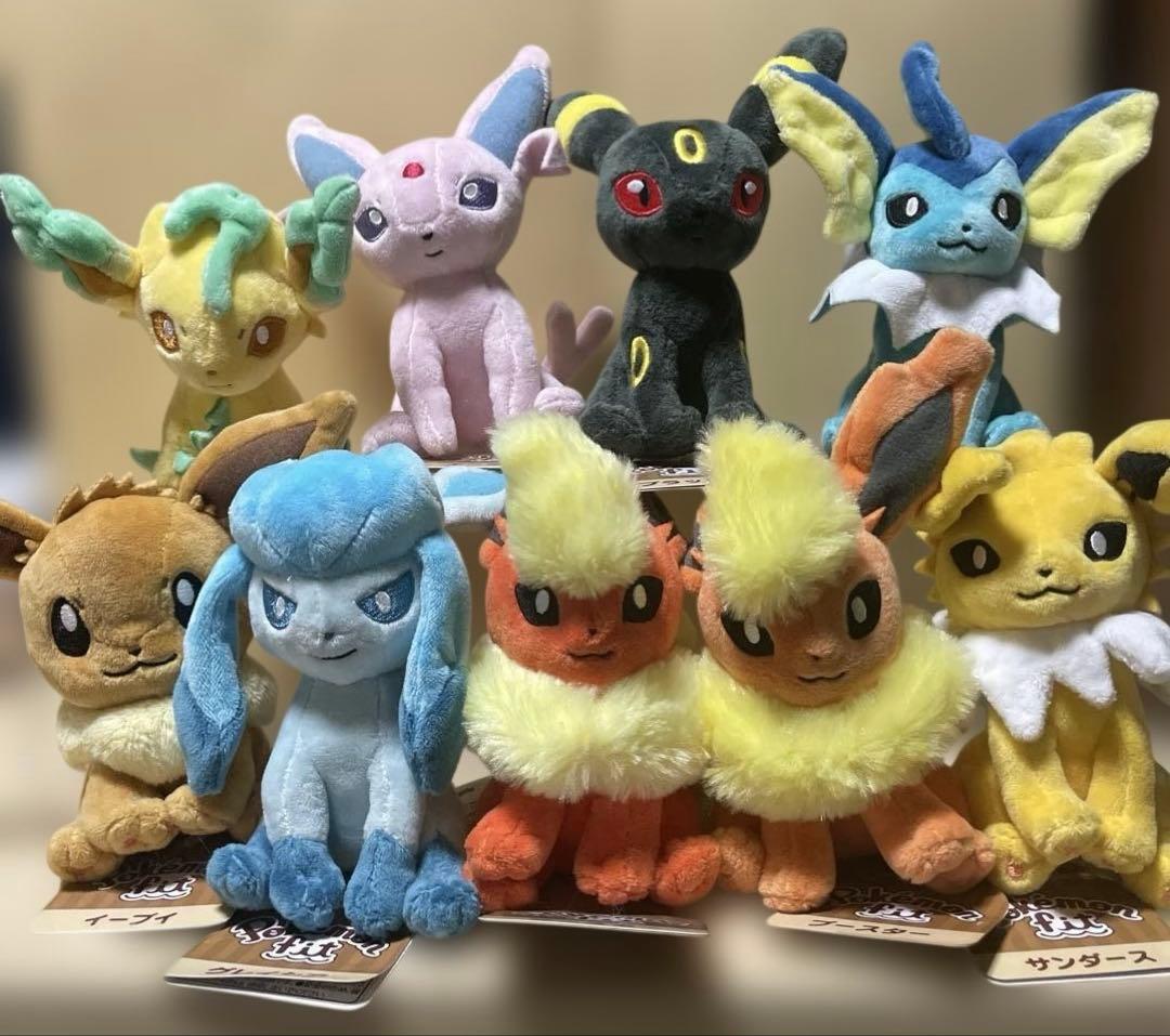 タグ有り　ポケモンfit ブイズ