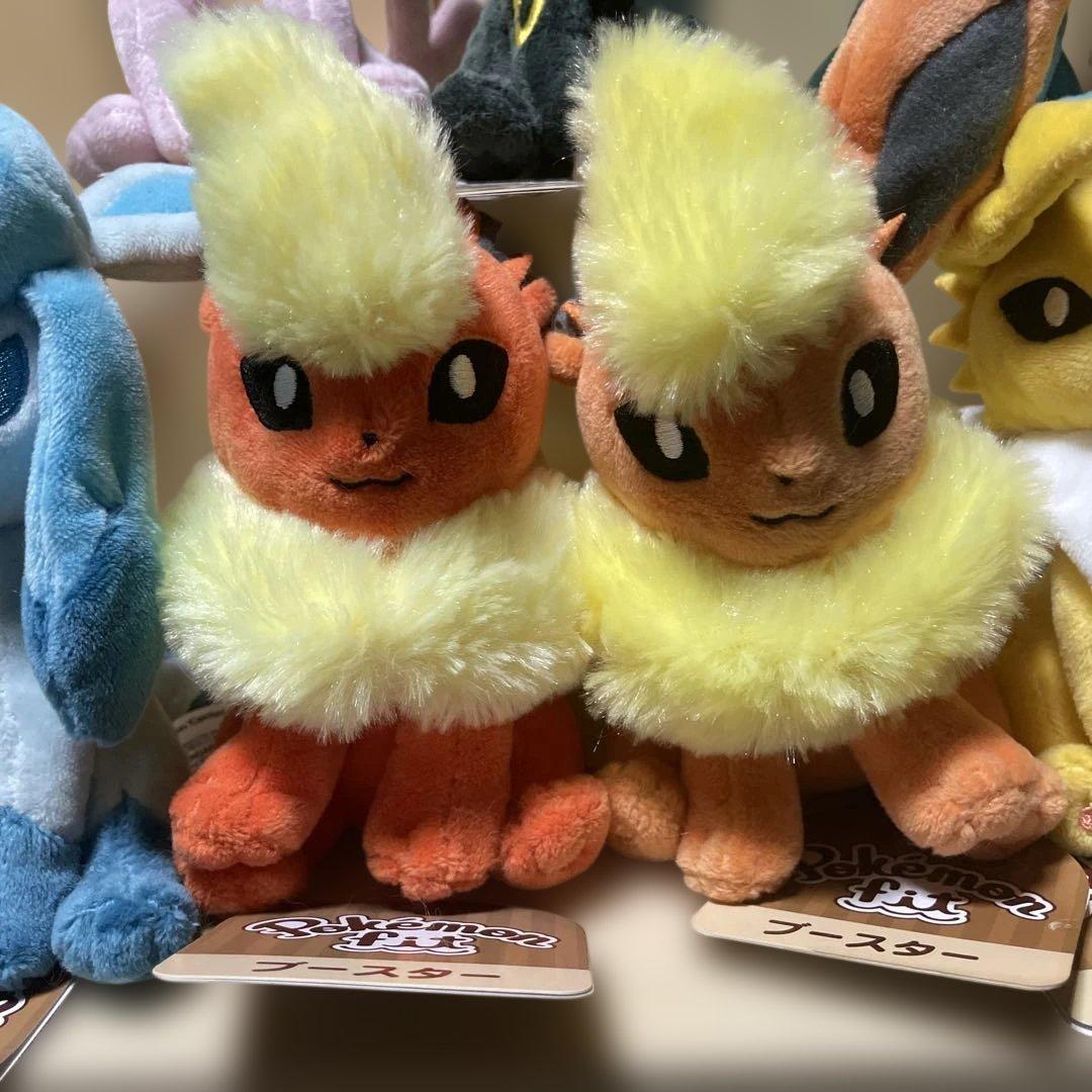 タグ有り　ポケモンfit ブイズ