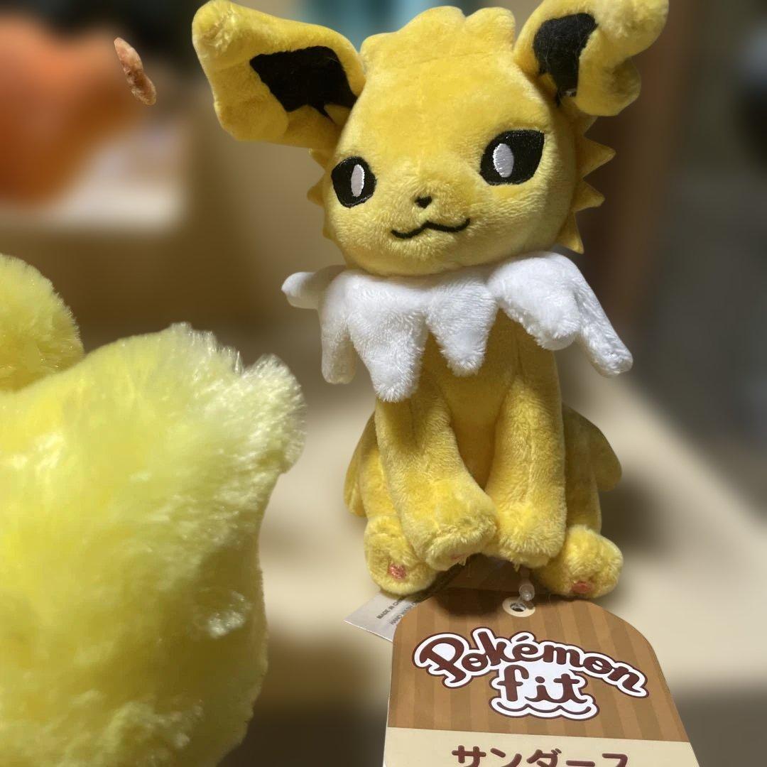 タグ有り　ポケモンfit ブイズ