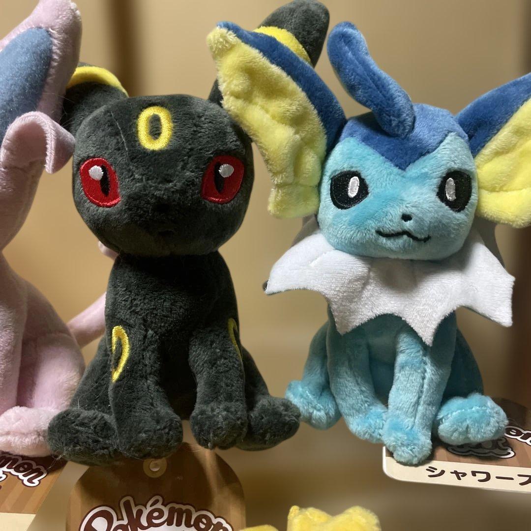 タグ有り　ポケモンfit ブイズ