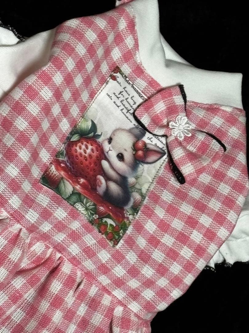 新作3点セット　ハンドメイド犬服　ワンピース　SS 女の子用　セール