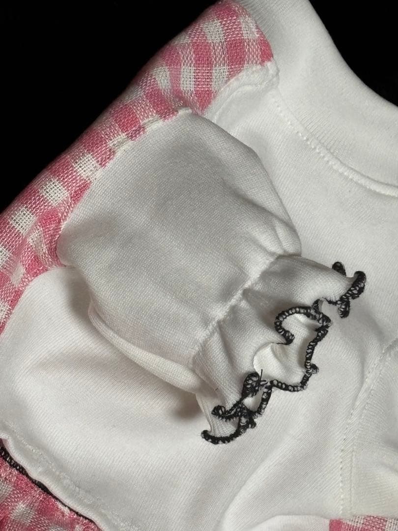 新作3点セット　ハンドメイド犬服　ワンピース　SS 女の子用　セール