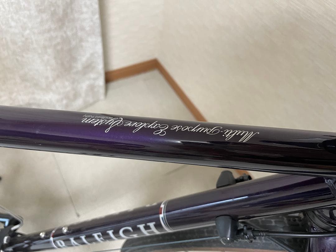 【ガニ】ラレー　Raleigh RFF-N 【現地引渡し希望】