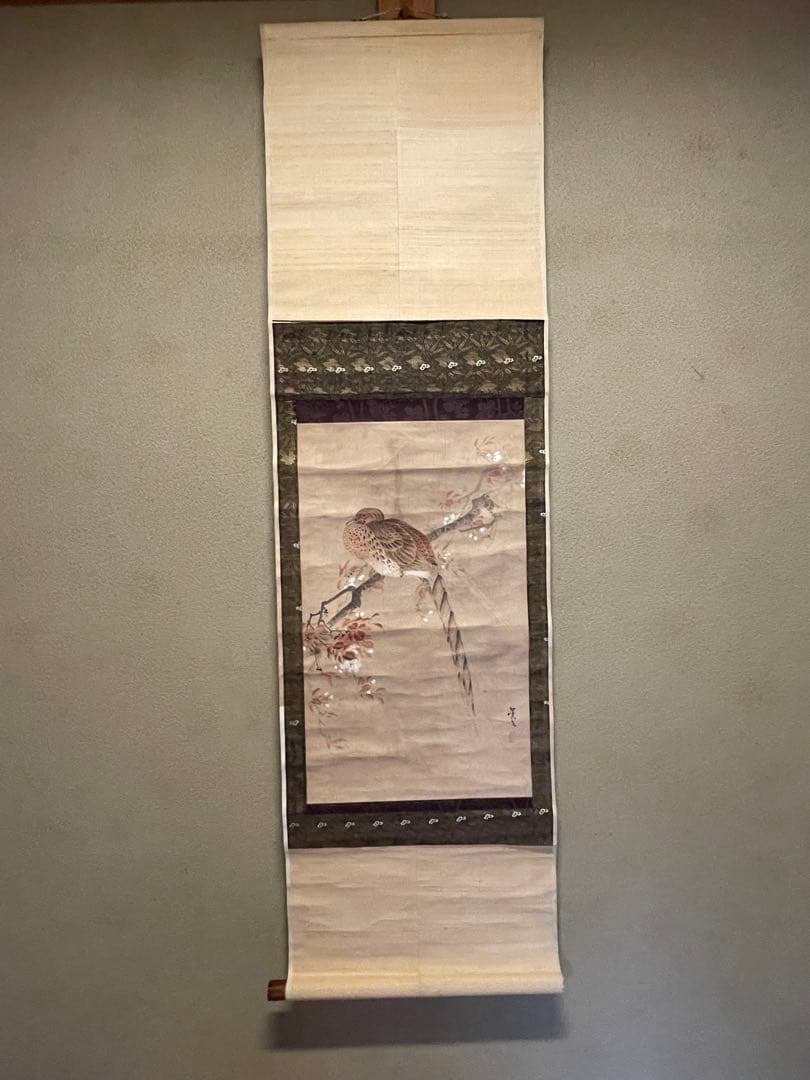 松村景文　山桜ニ山鳥　掛軸　紙本　江戸時代