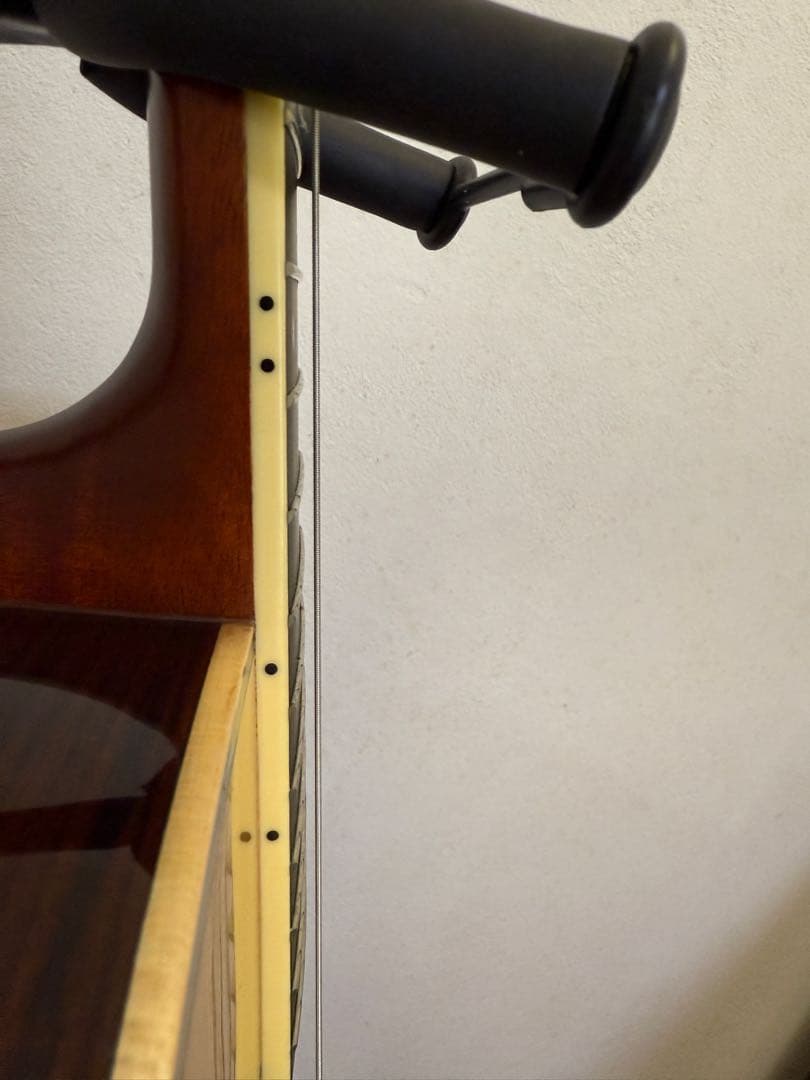 は*郎様 YAMAHA LS16 ARE（オール単板） 本体＋ギグバッグ