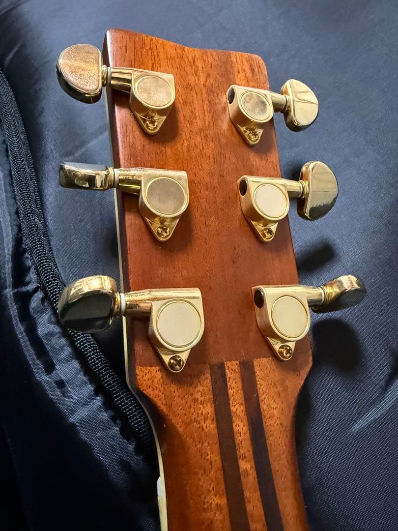 は*郎様 YAMAHA LS16 ARE（オール単板） 本体＋ギグバッグ