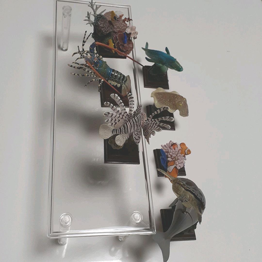 フィギュア　鳥羽水族館立体コレクション