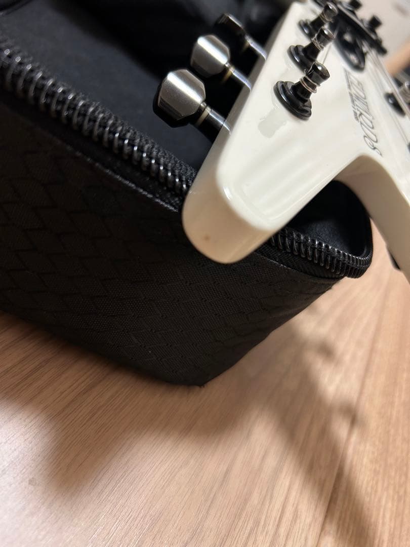 レア品 美品 EDWARDS sex machineguns SUSSY