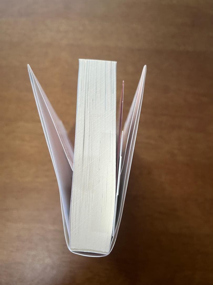 N*U様 わたしが恋人になれるわけないじゃん、ムリムリ　わたなれ　サイン本　 み