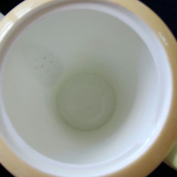 SHELLEY POT (1932年)