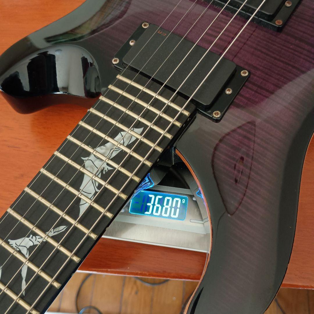 ギター Paul Reed Smith PRS SE Paul Allender EMG