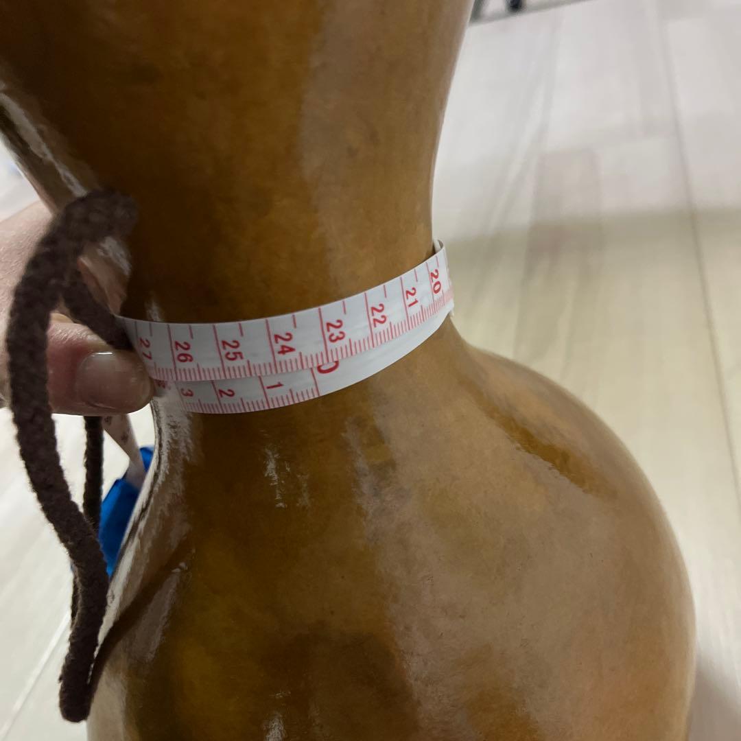 イプ・ケース付き