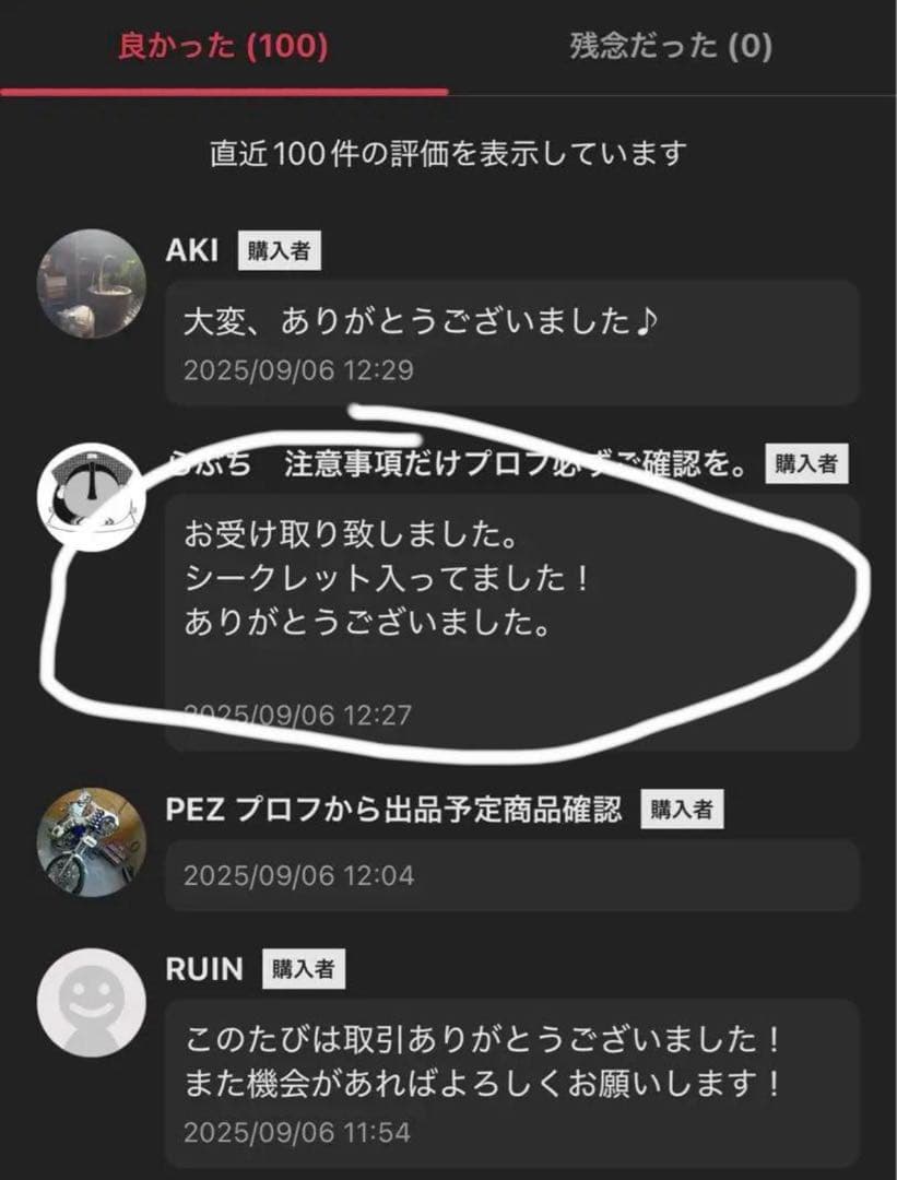 【正規品・未開封】Labubu Big into Energy 5箱