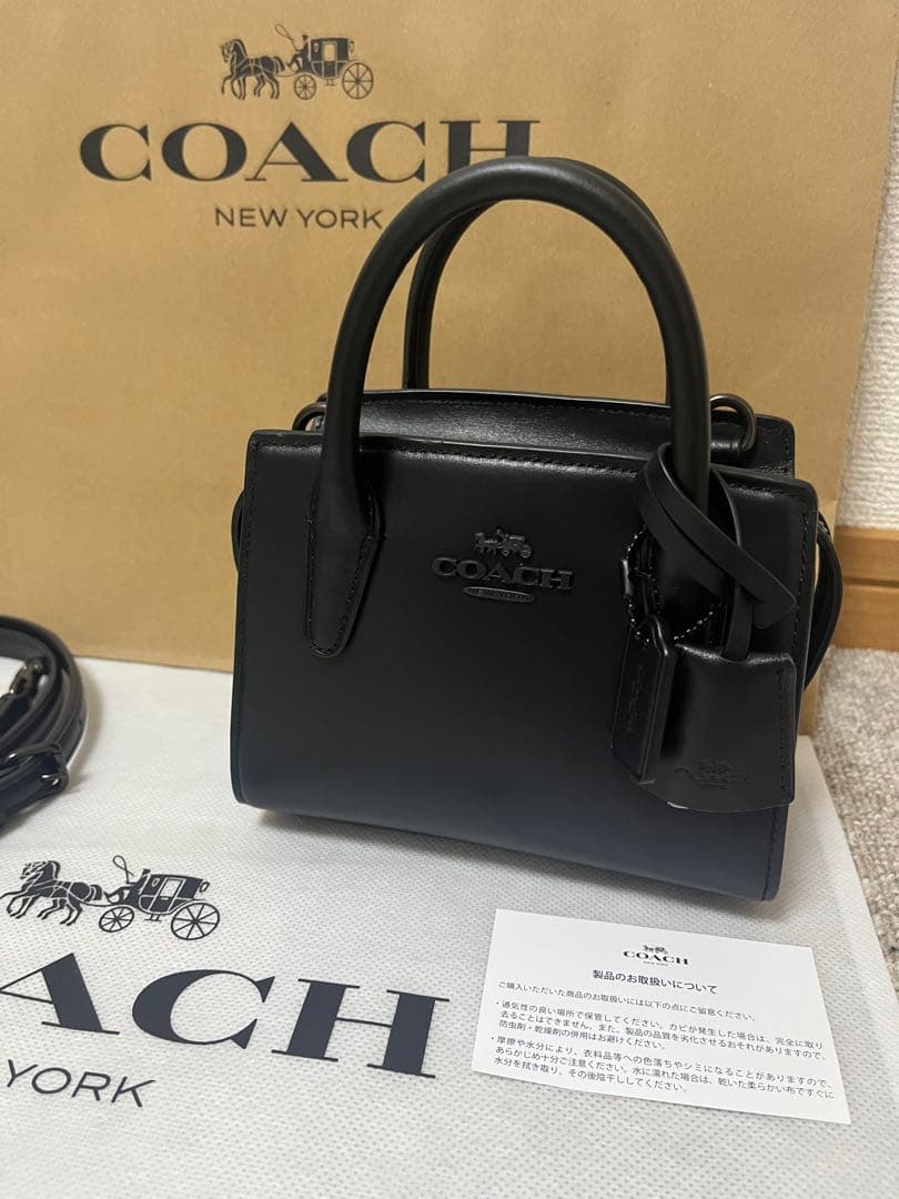 新品 コーチ アンドレア ミニ キャリーオール 2WAY ショルダーバッグ