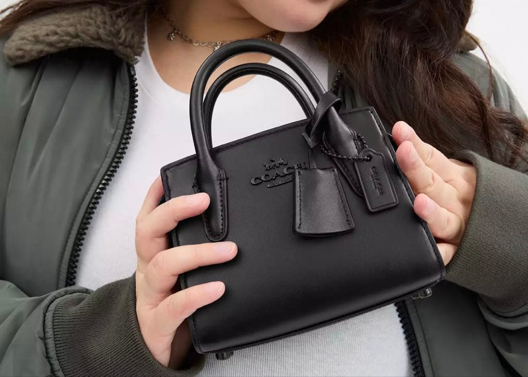 新品 コーチ アンドレア ミニ キャリーオール 2WAY ショルダーバッグ