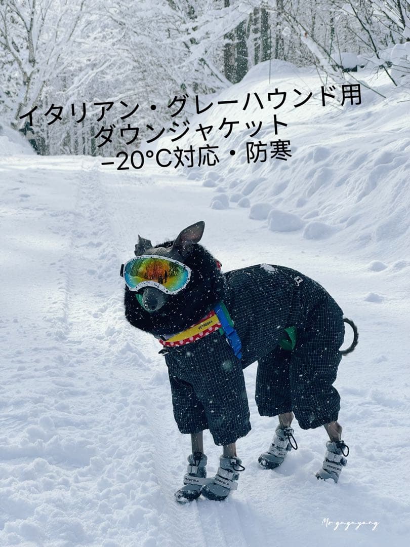 イタリアン・グレーハウンド用 ダウンジャケット −20℃対応・防寒