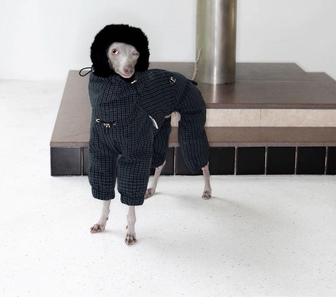 イタリアン・グレーハウンド用 ダウンジャケット −20℃対応・防寒