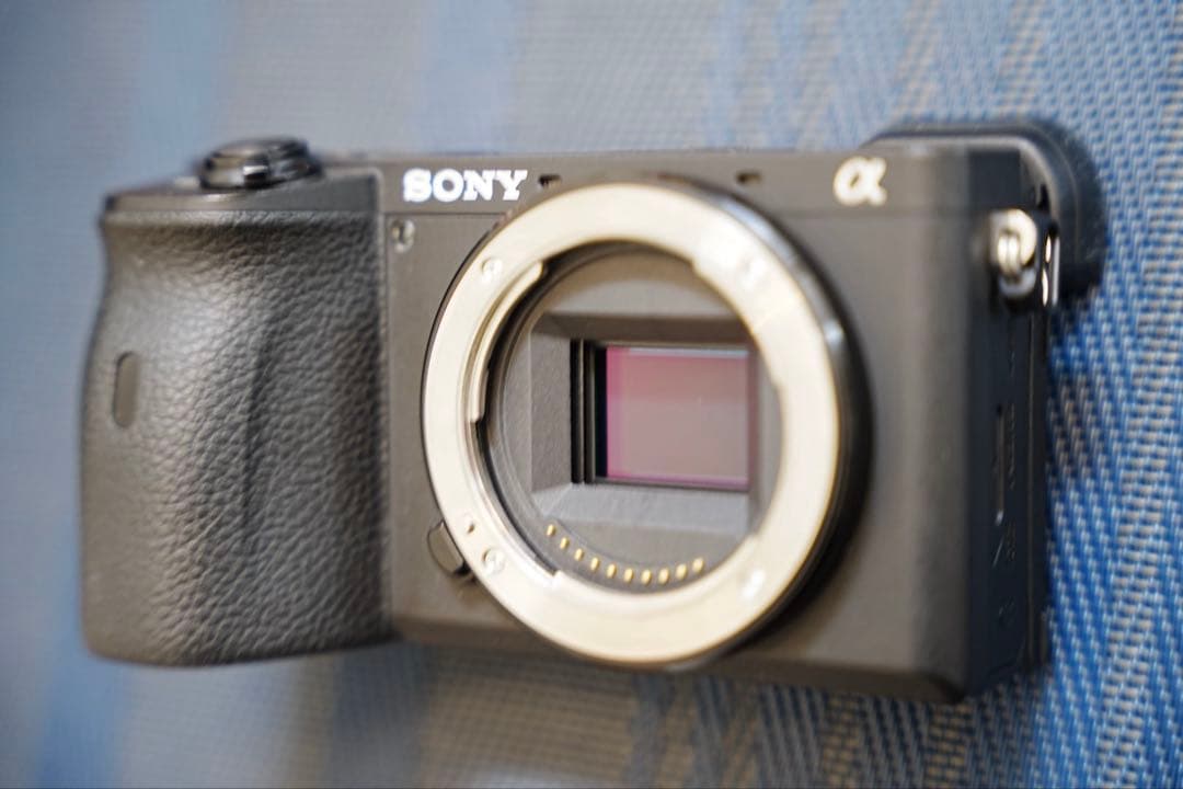 SONY α6600 APS-C ボディ