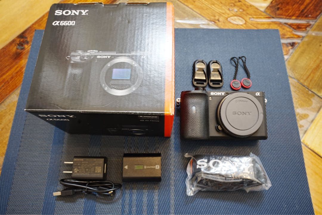 SONY α6600 APS-C ボディ