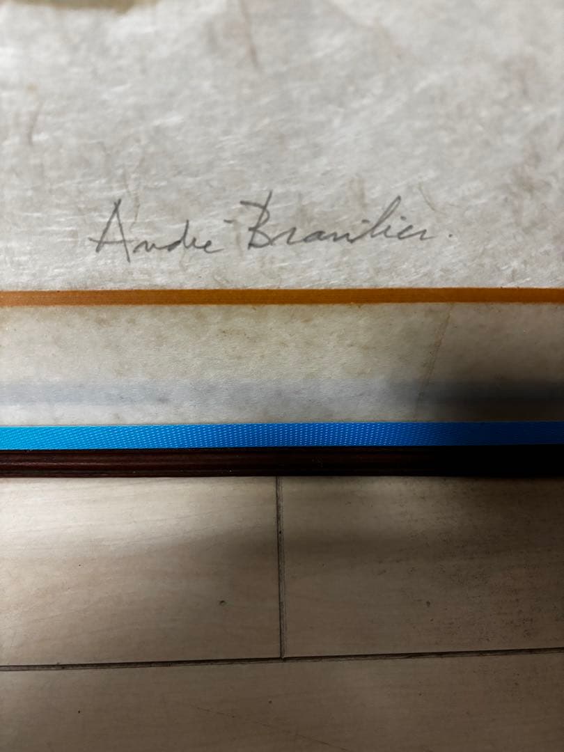 アンドレ・ブラジリエの絵画作品