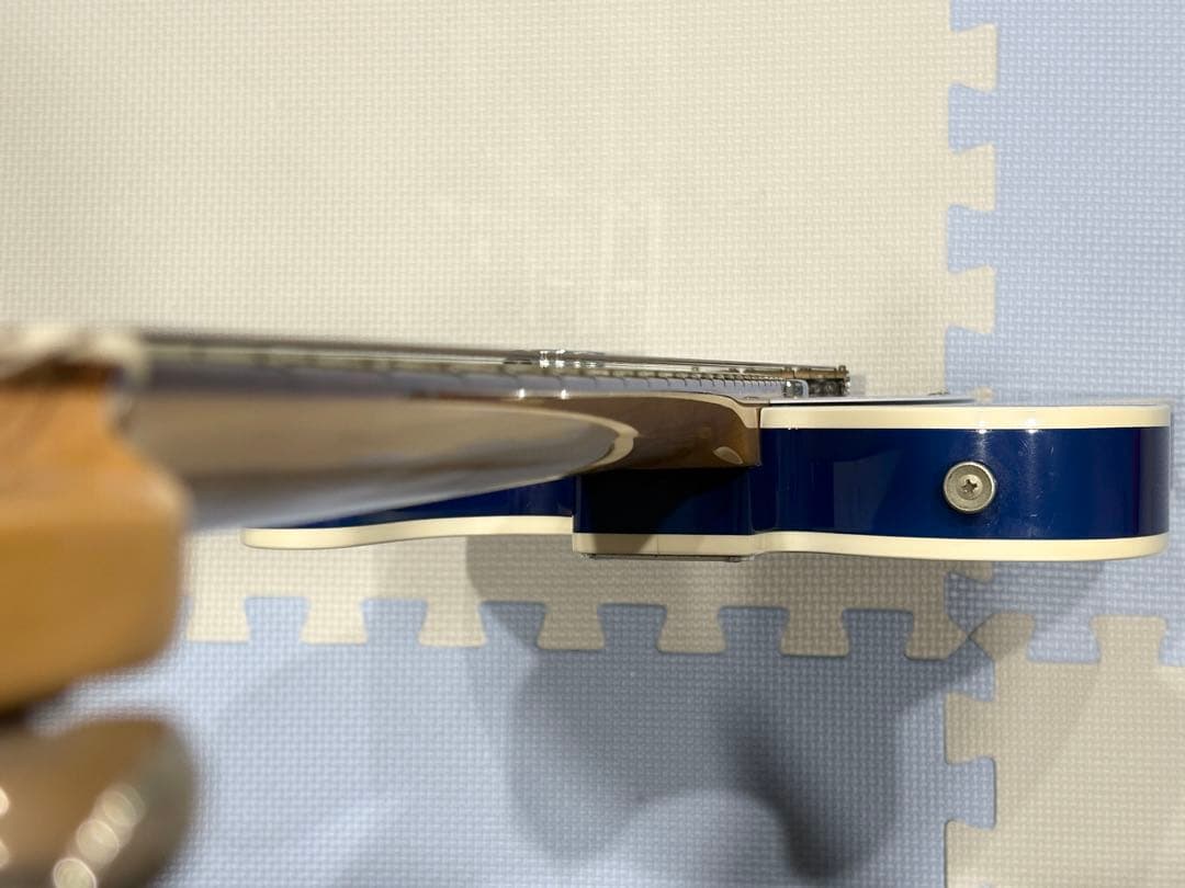 Combat Guitars TL custom ハードケース付