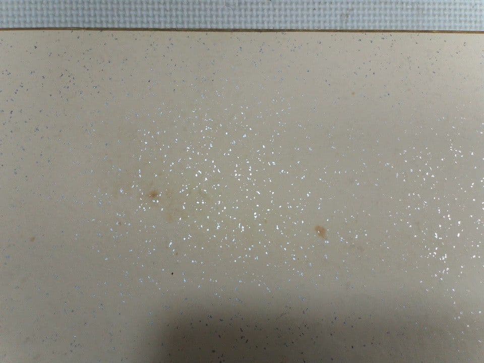 丹羽長春　絵画のみ　菊の花 日本画 約31.6 ×40.8cm　　美術品