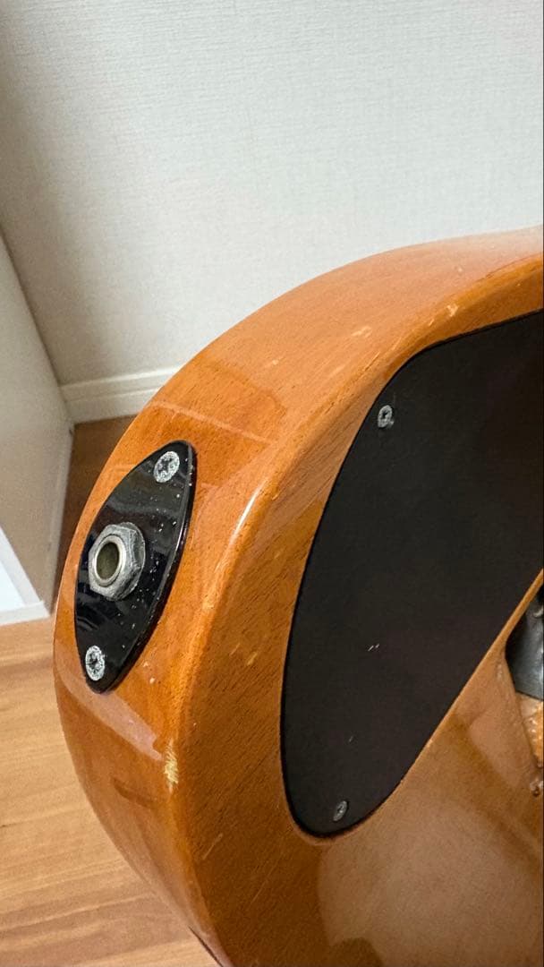 Jackson Dinkyタイプギター