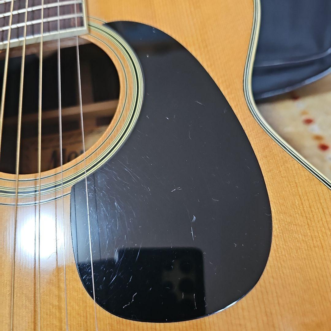 Morris.F-25四角ラベル初期型 キグバック付き