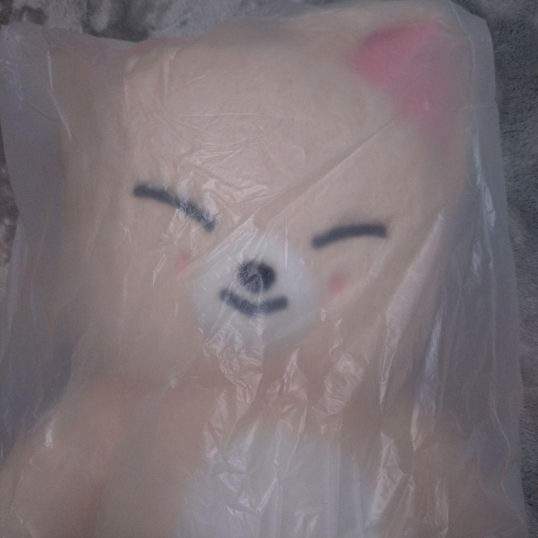 StrayKids　テディベア　フォクシニー　アイエン