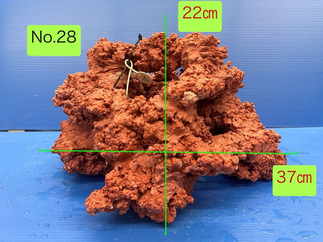 人工ライブロック. No.28. CO2無害化処理済