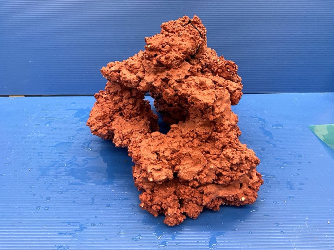 人工ライブロック. No.28. CO2無害化処理済