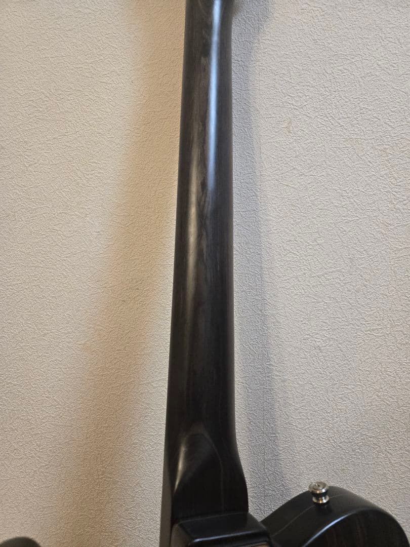 Bacchus BTE-TW NS / バッカス オールローズ風 テレキャスター